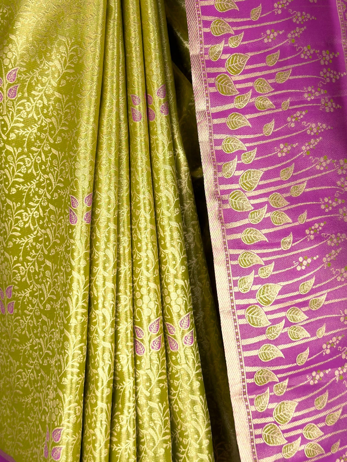 MIMOSA Saree Saree — fleets shot full lifestyle