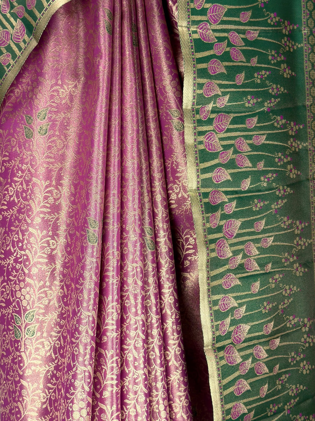 MIMOSA Saree Saree — fleets shot full lifestyle