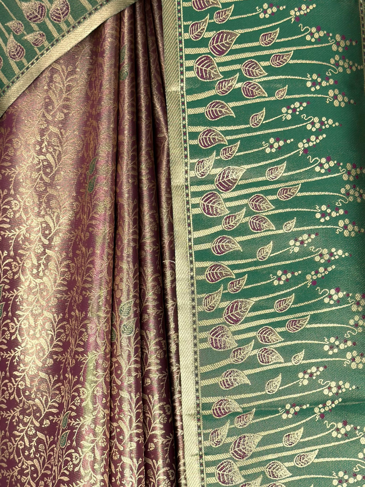 MIMOSA Saree Saree — fleets shot full lifestyle