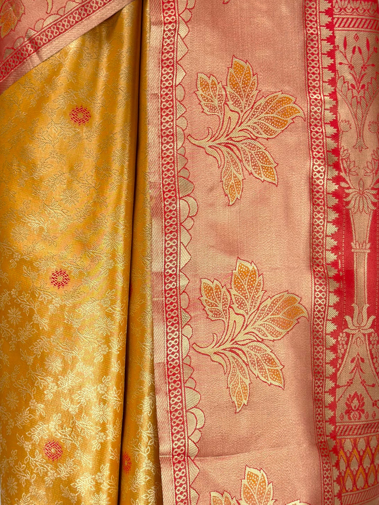 MIMOSA Saree Saree — fleets shot full lifestyle