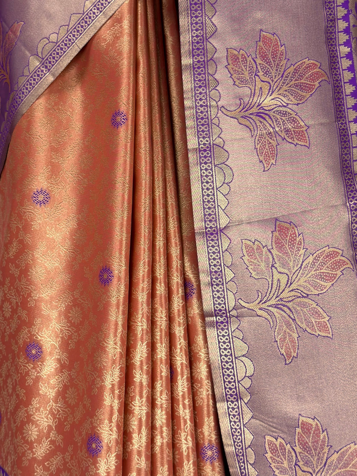 MIMOSA Saree Saree — fleets shot full lifestyle