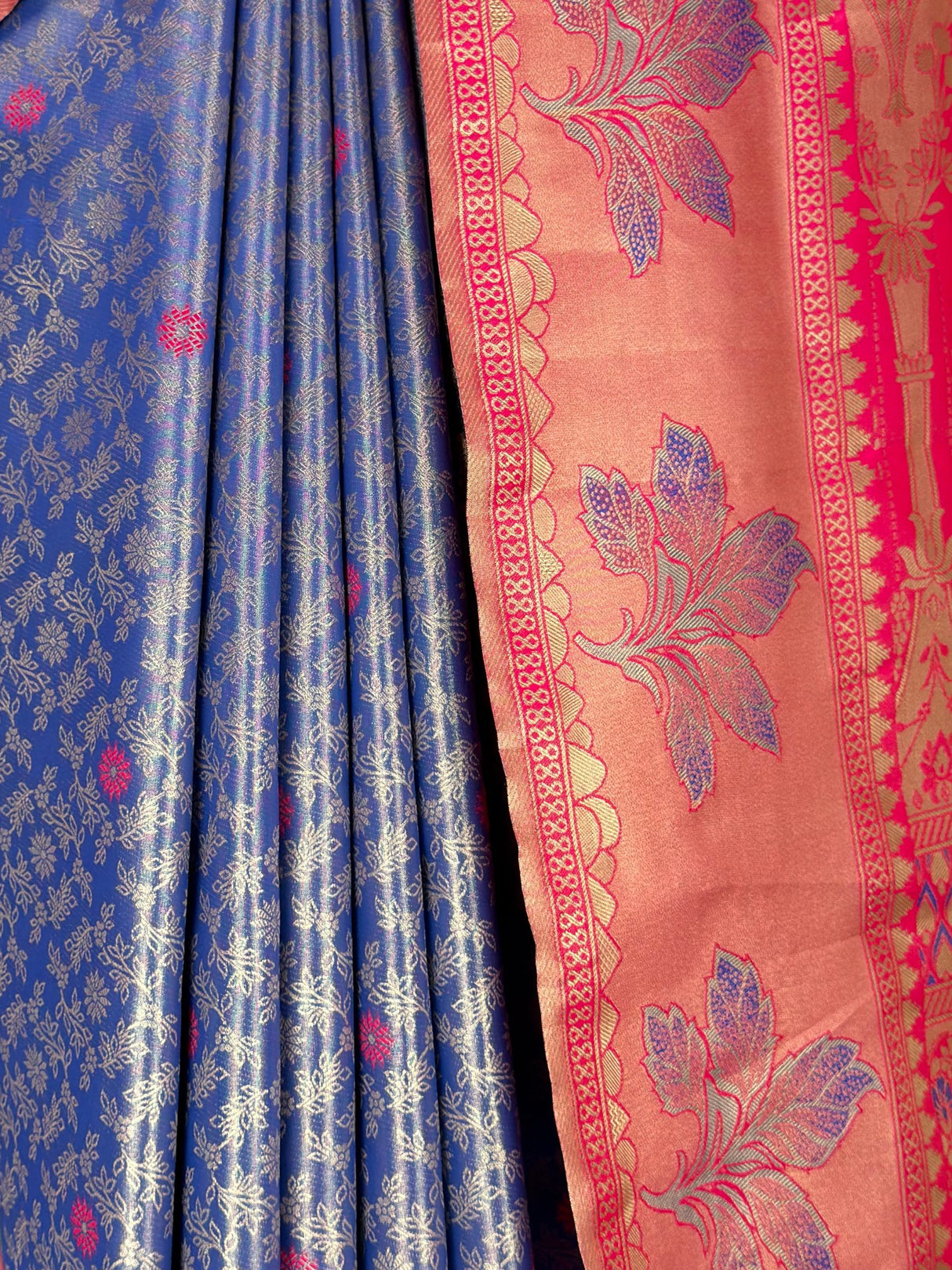 MIMOSA Saree Saree — fleets shot full lifestyle