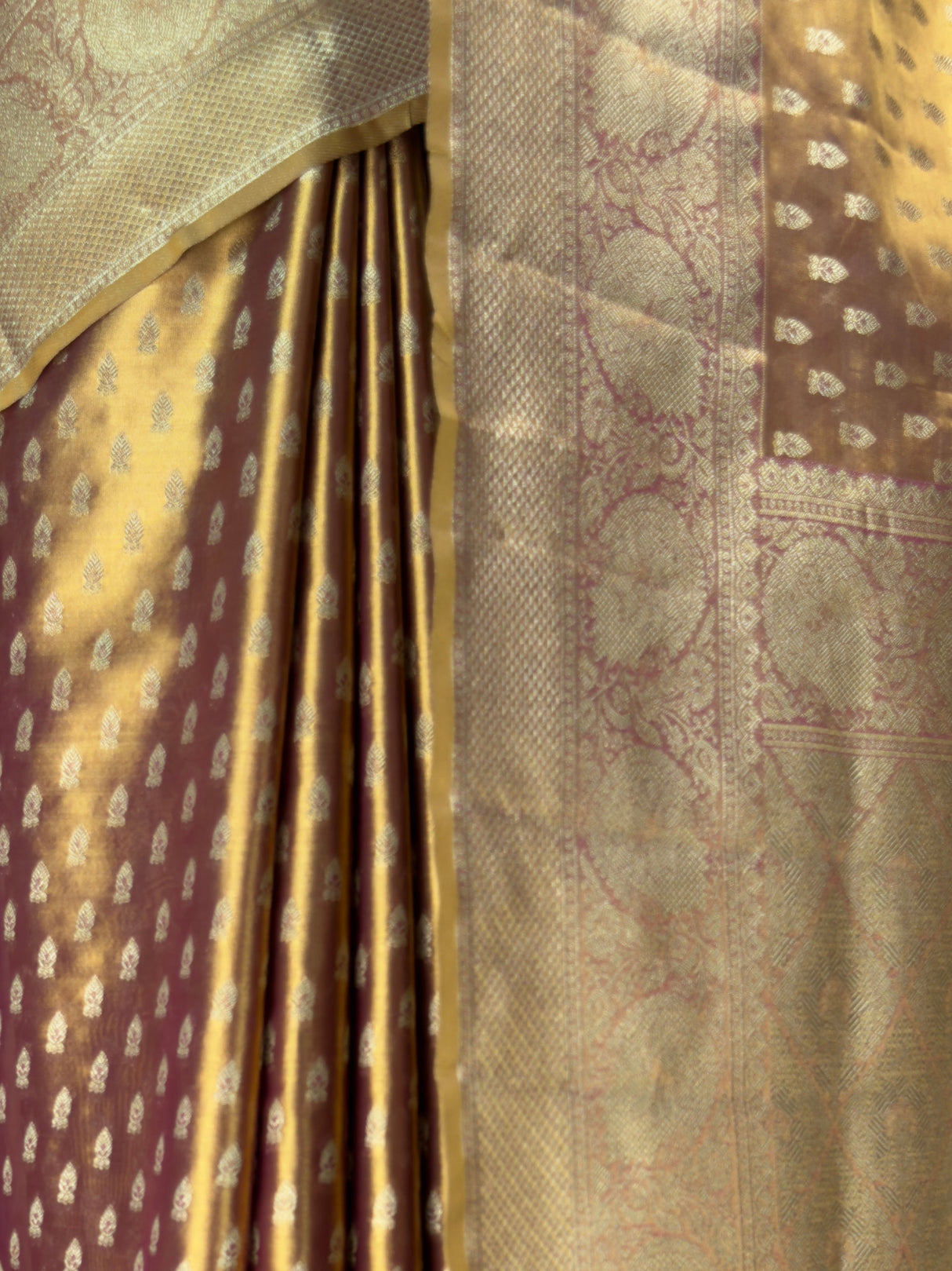 MIMOSA Wine Saree Saree — fleets shot full lifestyle