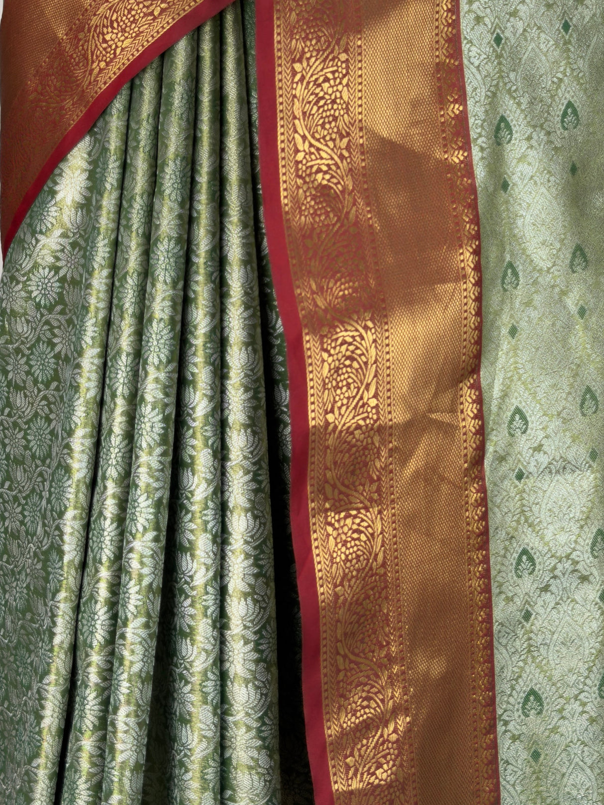 MIMOSA Saree Saree — fleets shot full lifestyle