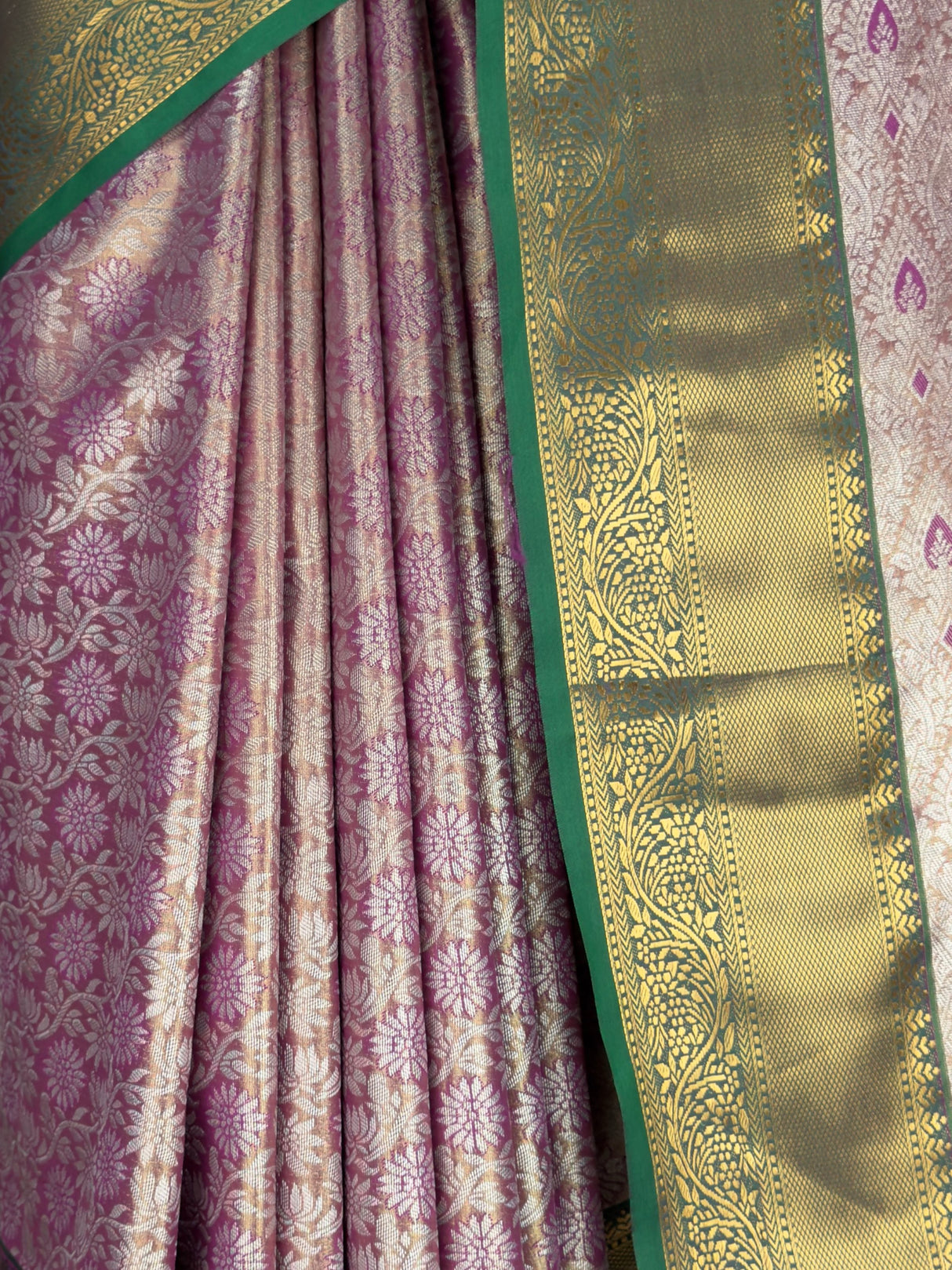 MIMOSA Saree Saree — fleets shot full lifestyle