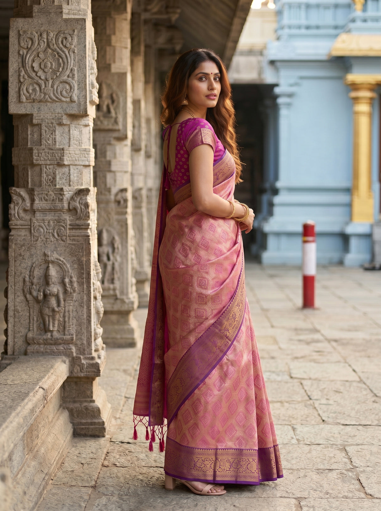 MIMOSA Rani Saree Saree — pose 5 styling detail