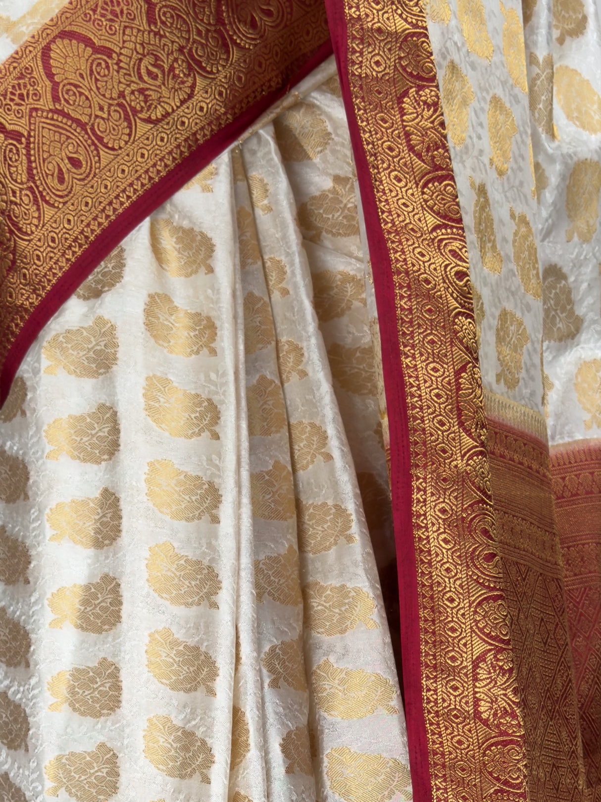 MIMOSA Saree Saree — fleets shot full lifestyle