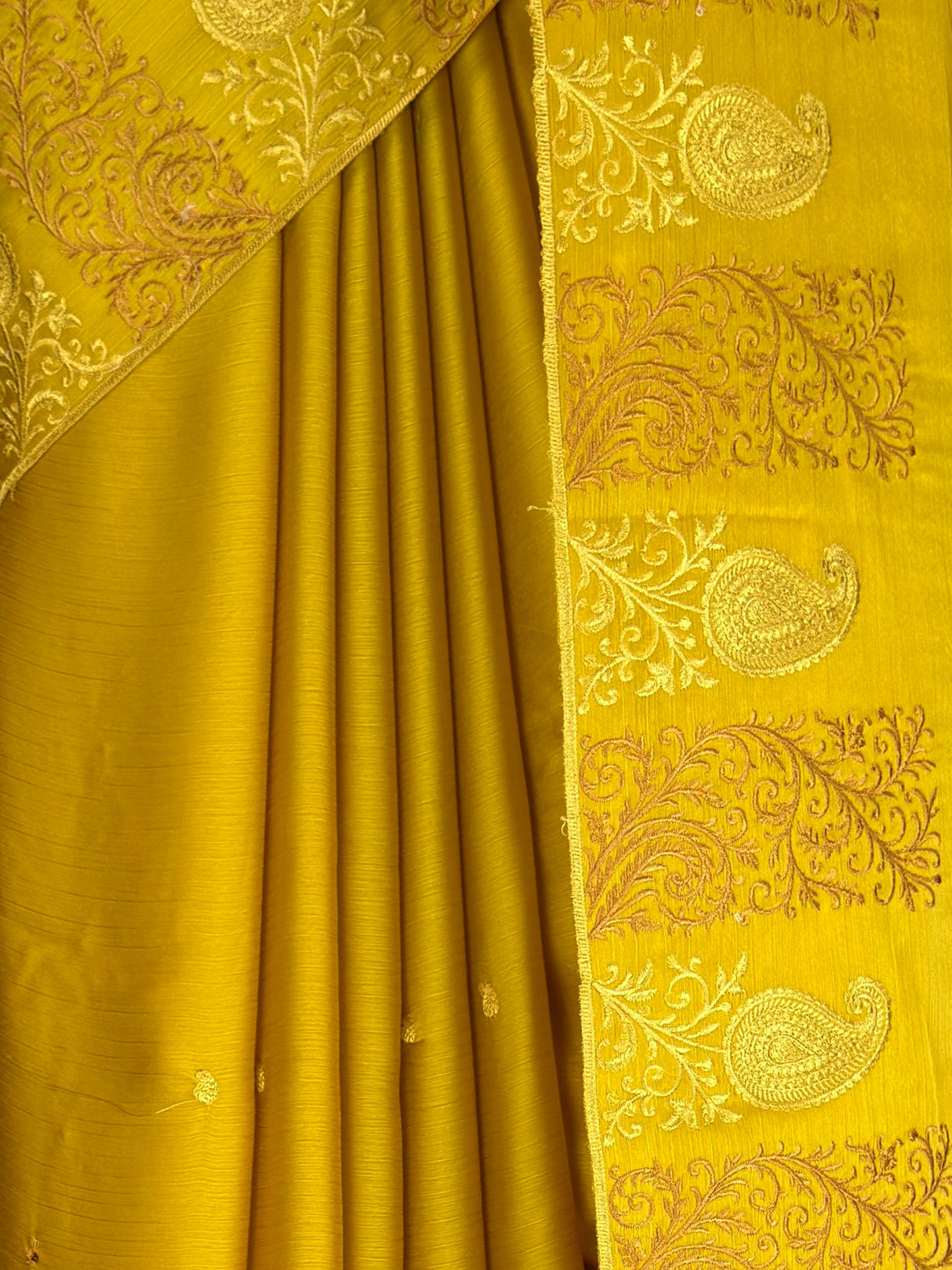 MIMOSA Gold Saree Saree — fleets shot full lifestyle