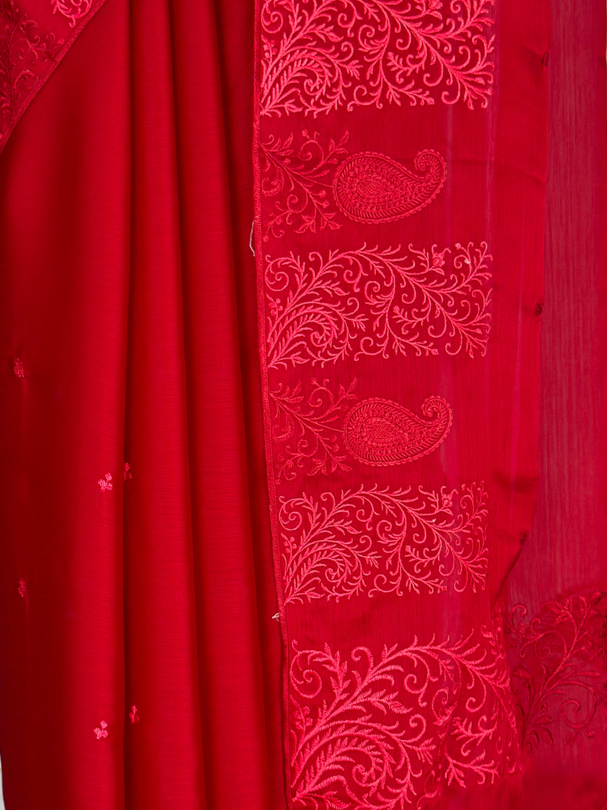 MIMOSA Red Saree Saree — fleets shot full lifestyle
