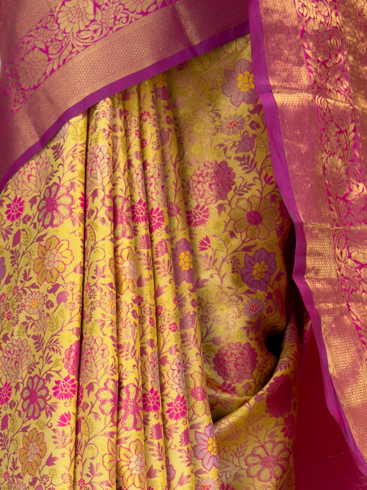 MIMOSA Saree Saree — fleets shot full lifestyle