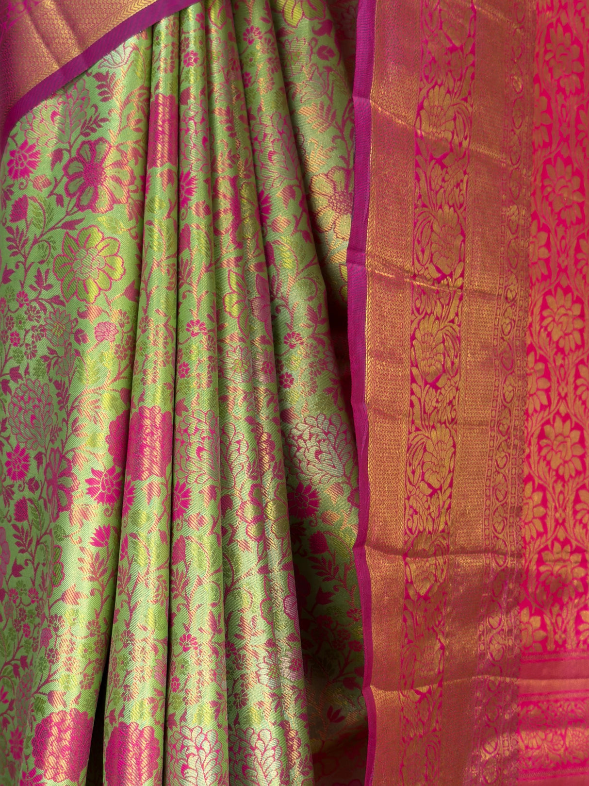 MIMOSA Saree Saree — fleets shot full lifestyle