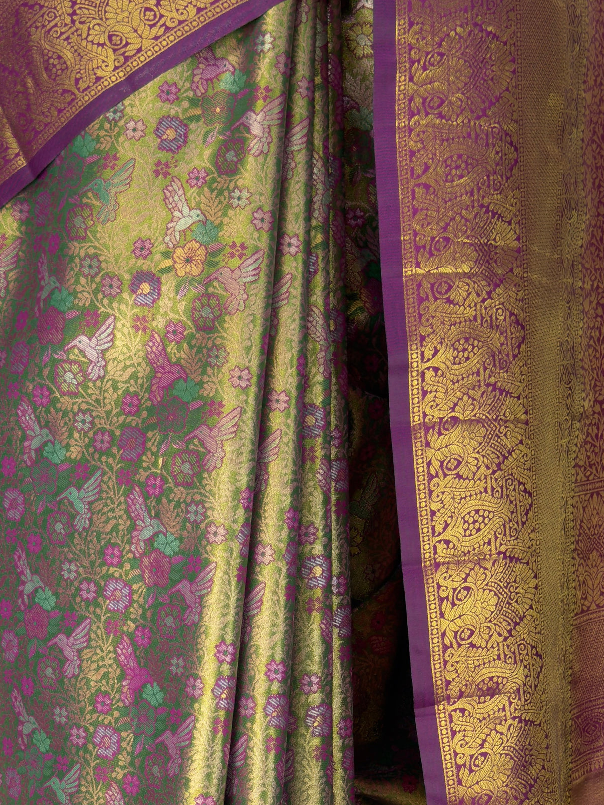 MIMOSA Saree Saree — fleets shot full lifestyle