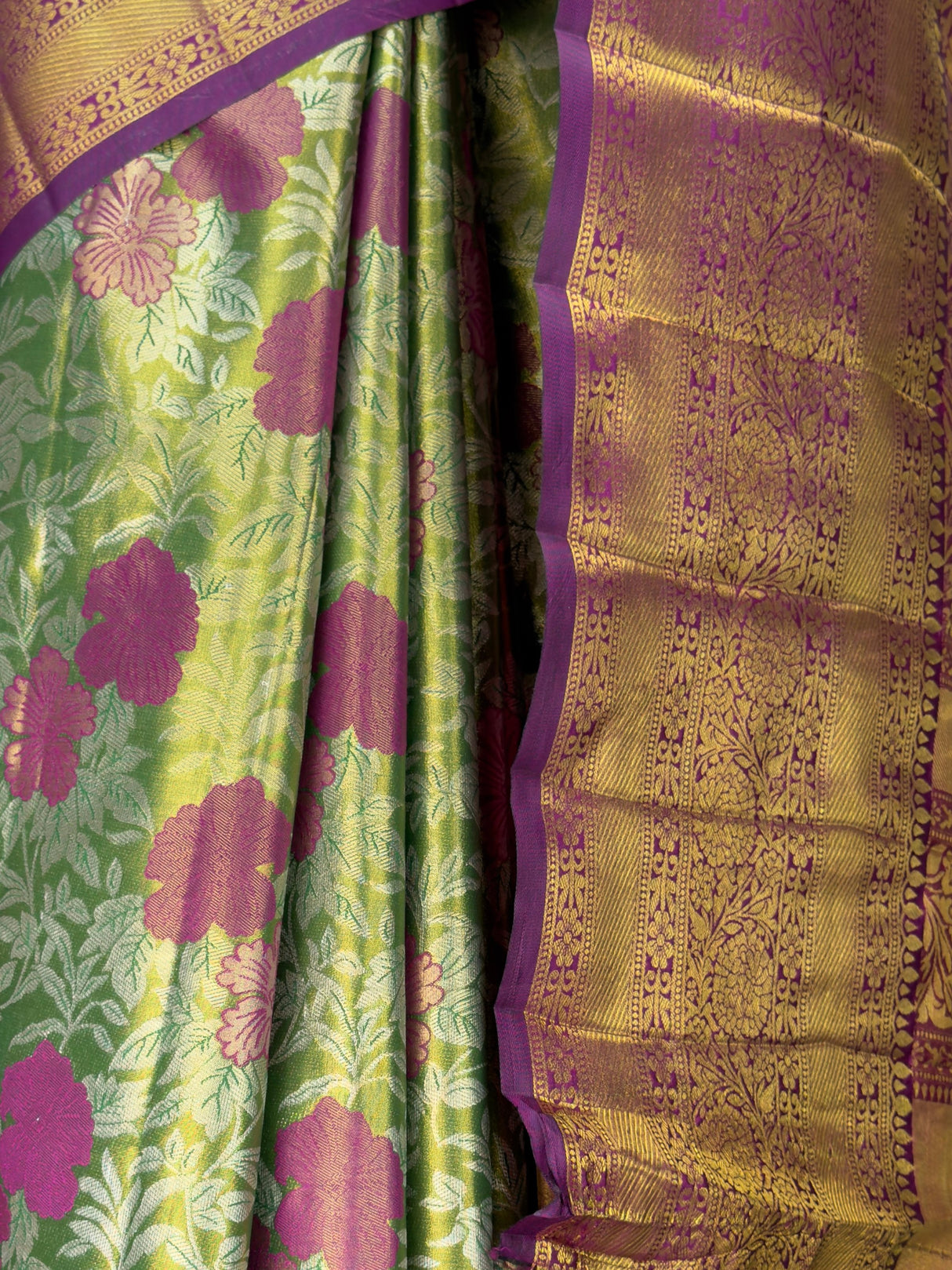 MIMOSA Green Saree Saree — fleets shot full lifestyle