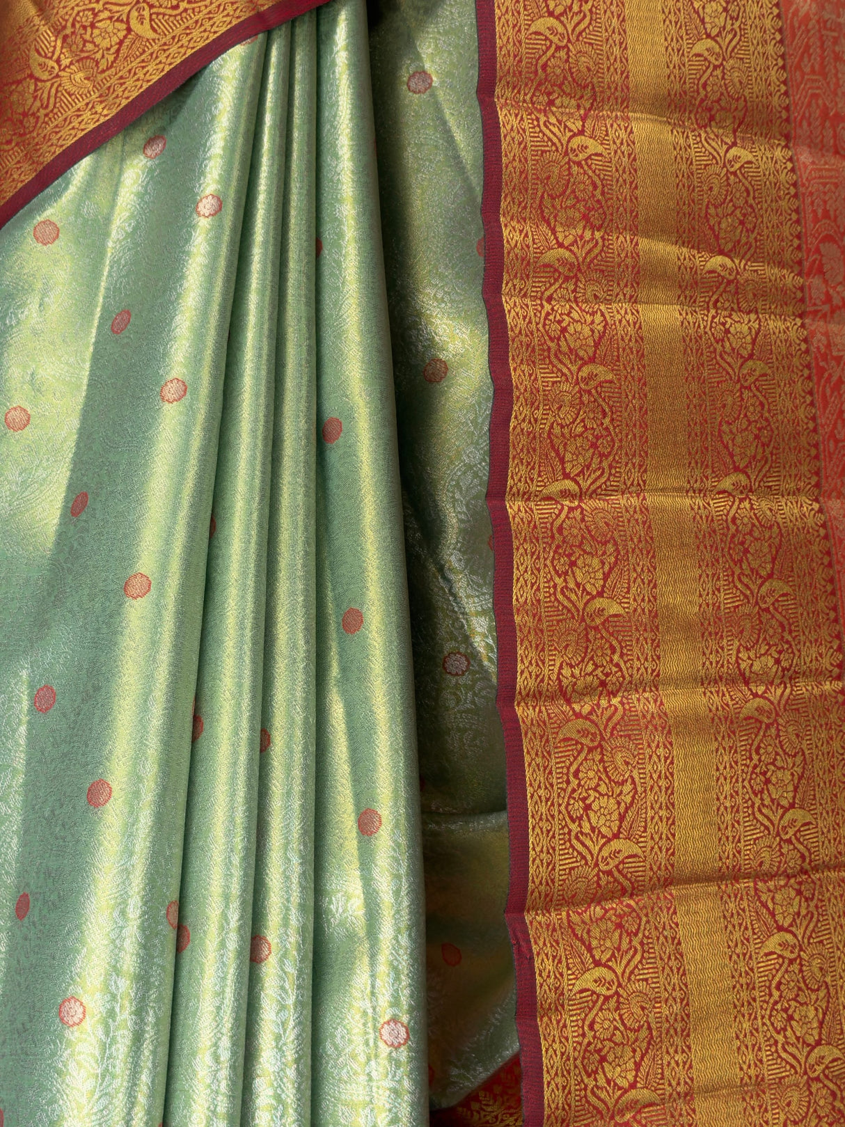 MIMOSA Saree Saree — fleets shot full lifestyle