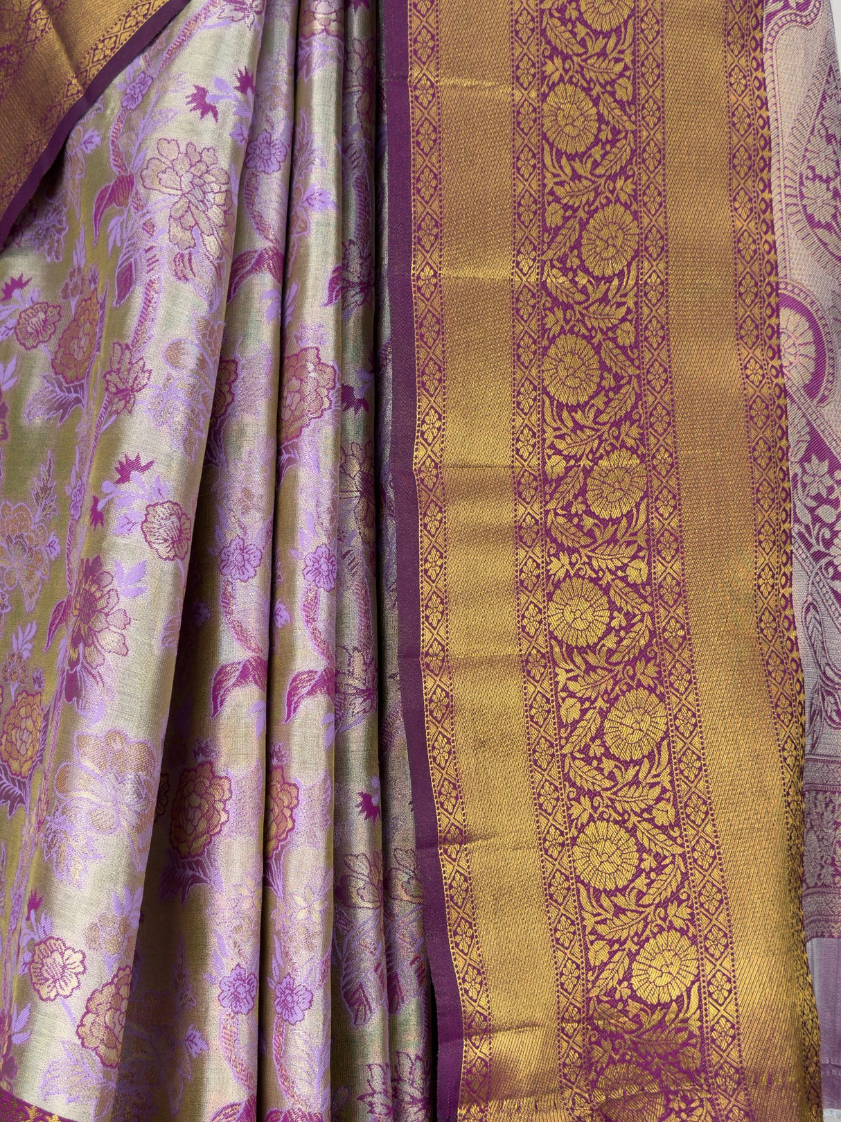 MIMOSA Saree Saree — fleets shot full lifestyle