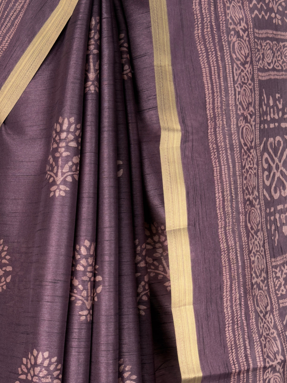 MIMOSA Saree Saree — fleets shot full lifestyle