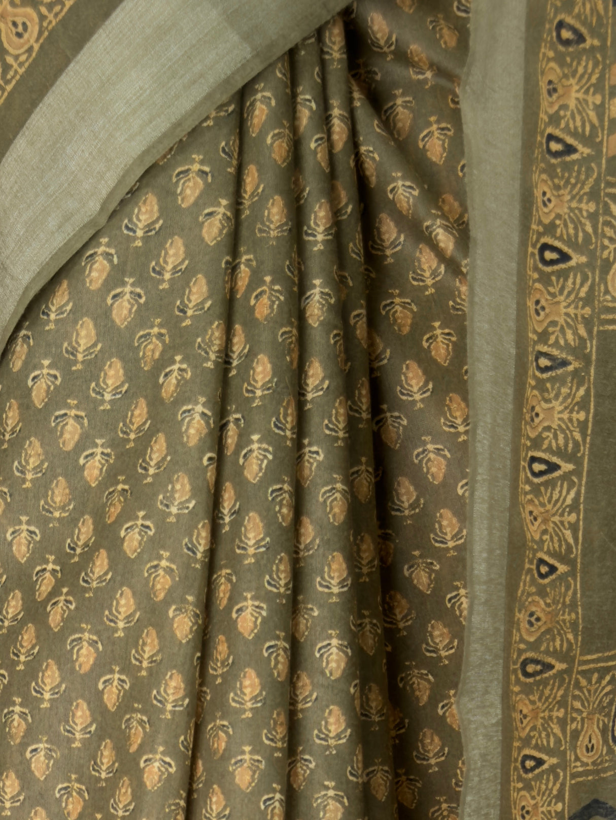 MIMOSA Saree Saree — fleets shot full lifestyle
