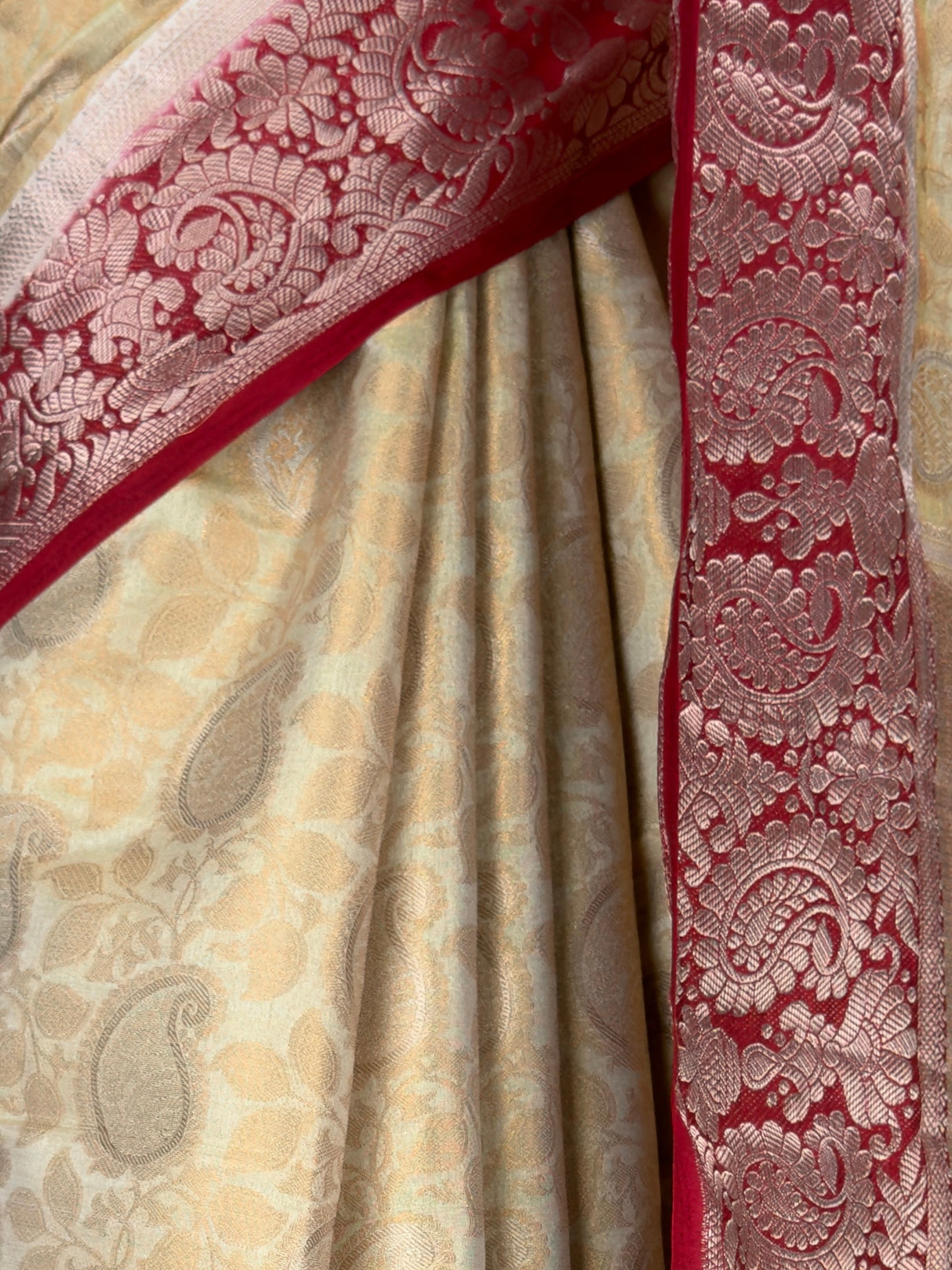 MIMOSA Saree Saree — fleets shot full lifestyle
