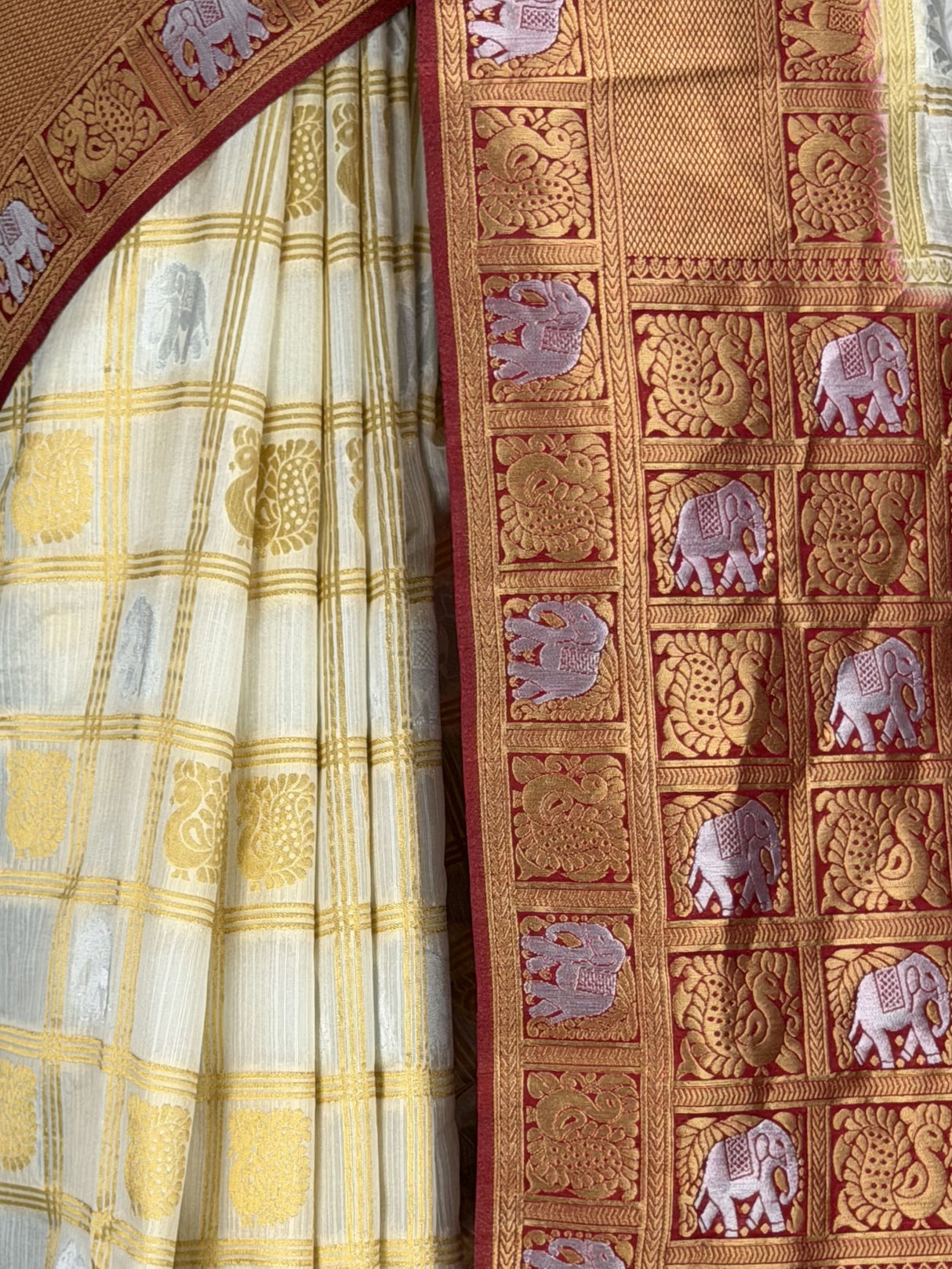 MIMOSA Saree Saree — fleets shot full lifestyle