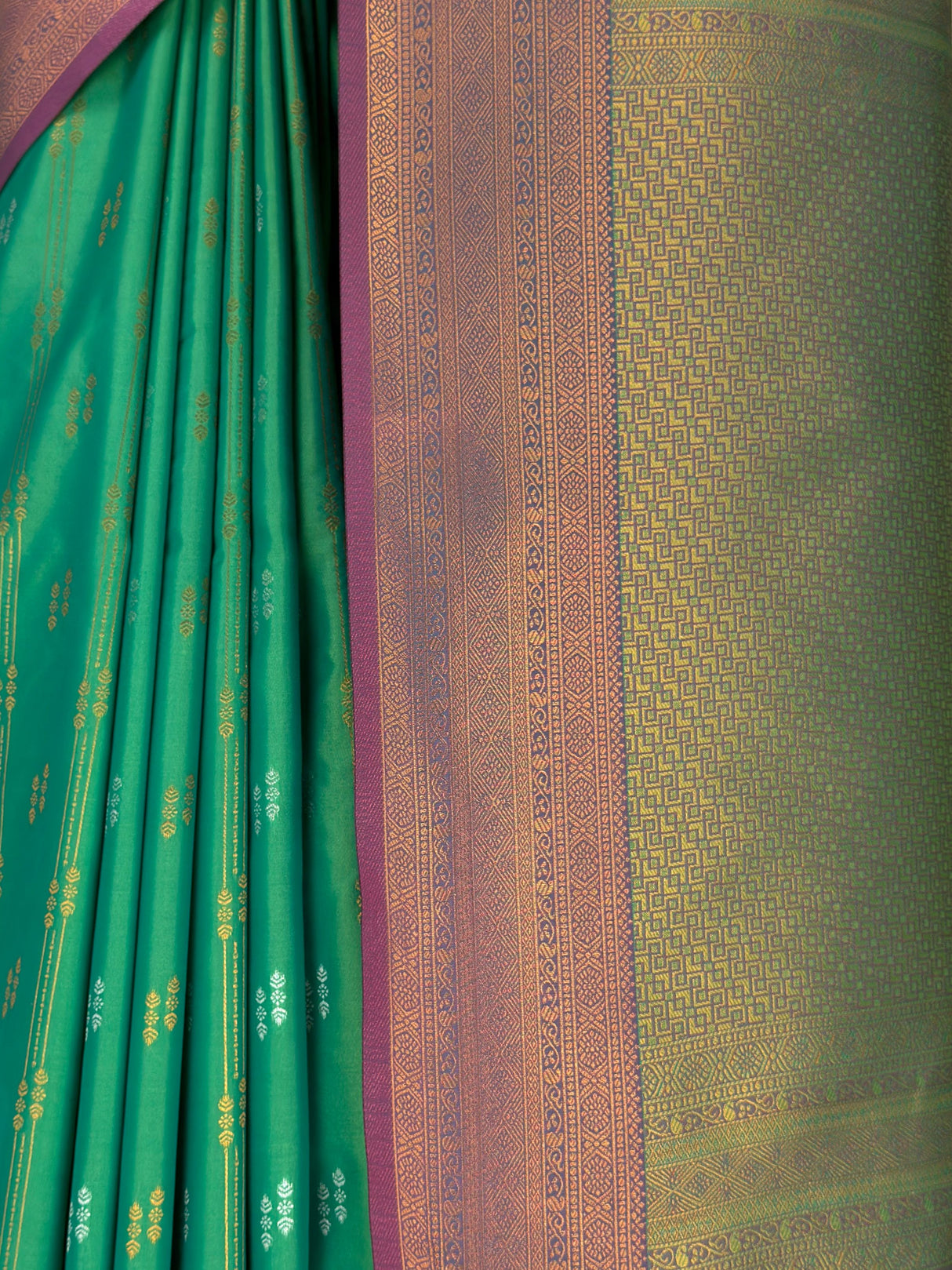 MIMOSA Rama Saree Saree — fleets shot full lifestyle