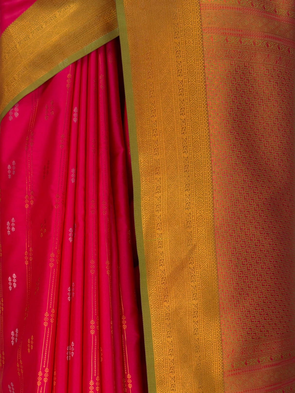 MIMOSA Rani Saree Saree — fleets shot full lifestyle