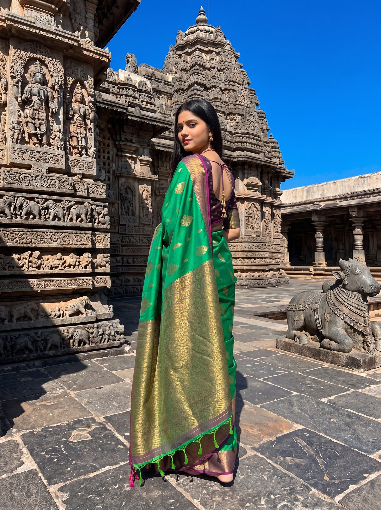 MIMOSA Rama Saree Saree — pose 9 styling detail