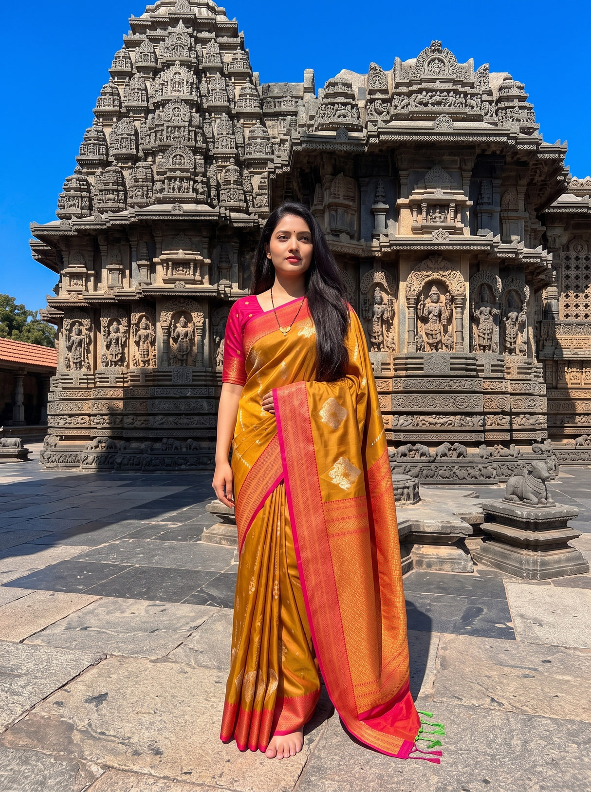 MIMOSA Rust Saree Saree — pose 5 styling detail