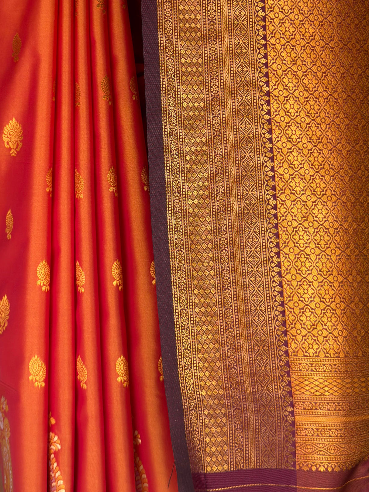 MIMOSA Mustard Saree Saree — fleets shot full lifestyle