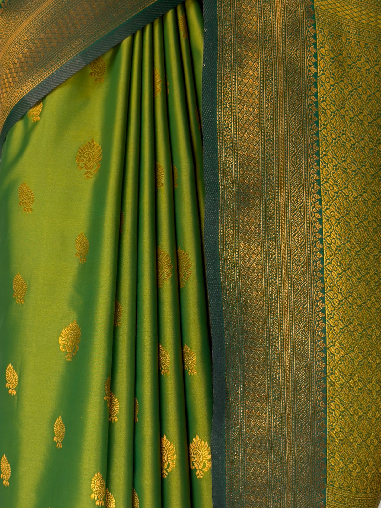 MIMOSA Olive Saree Saree — fleets shot full lifestyle