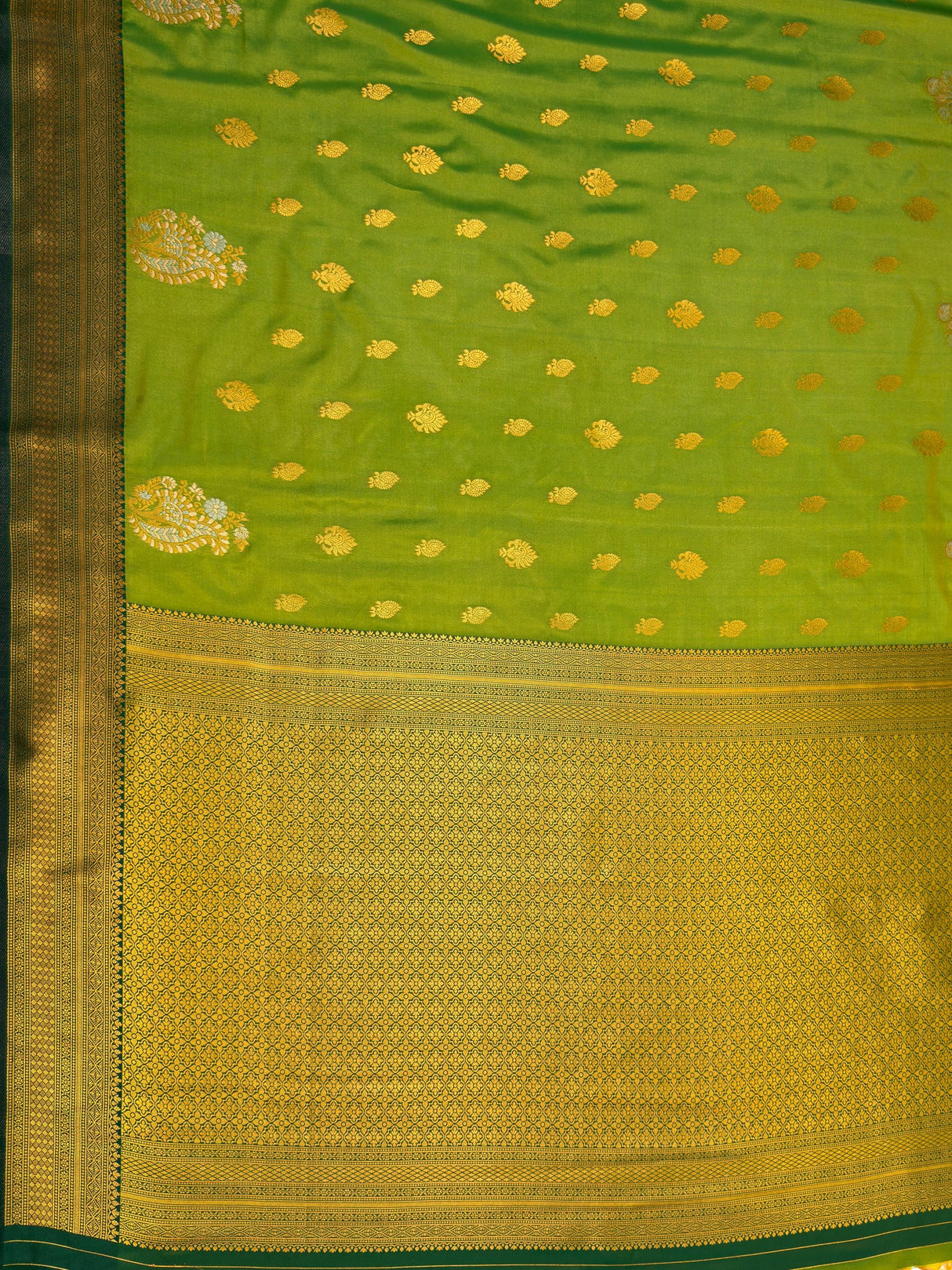 MIMOSA Olive Saree Saree — pallu and zari work detail