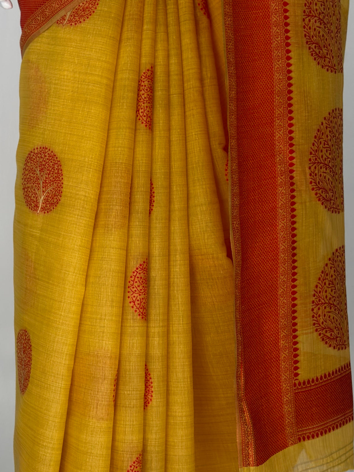 MIMOSA Saree Saree — fleets shot full lifestyle