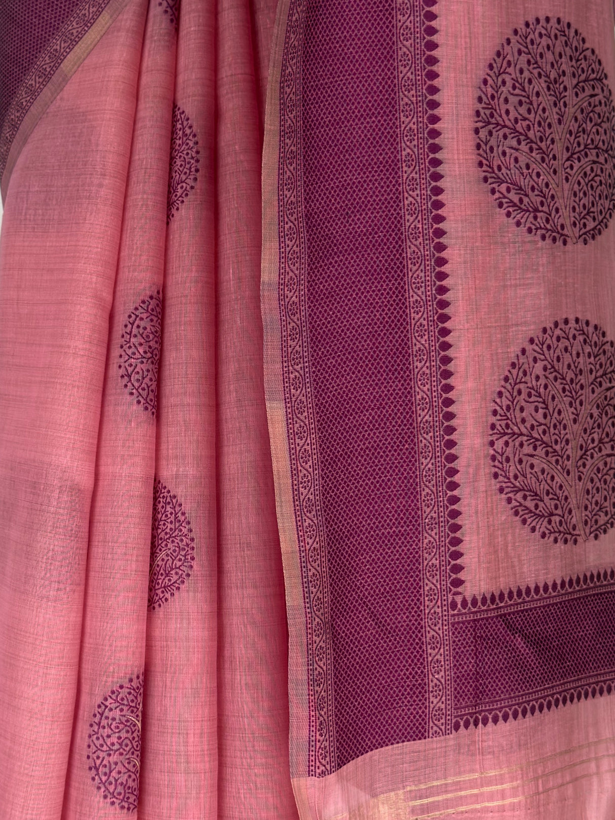 MIMOSA Saree Saree — fleets shot full lifestyle