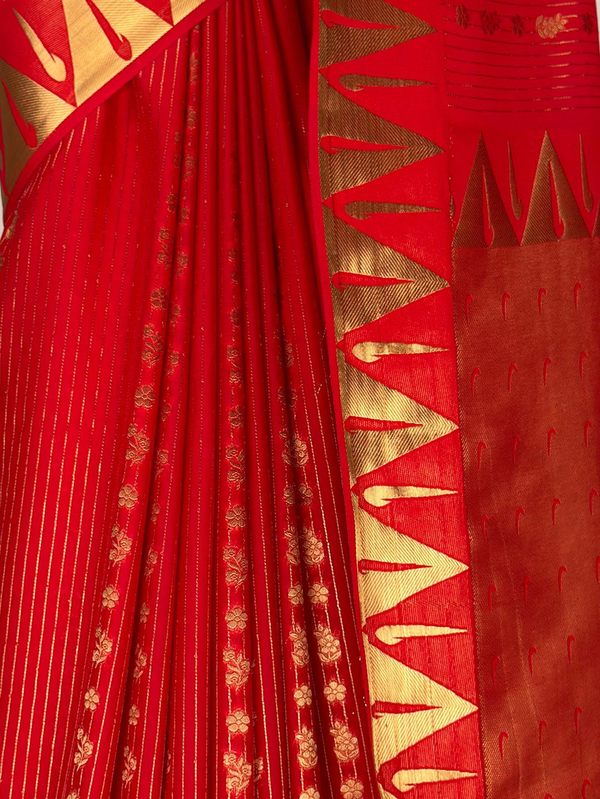MIMOSA Red Saree Saree — fleets shot full lifestyle