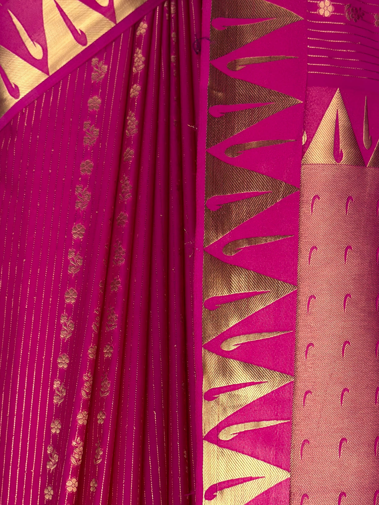 MIMOSA Rani Saree Saree — fleets shot full lifestyle