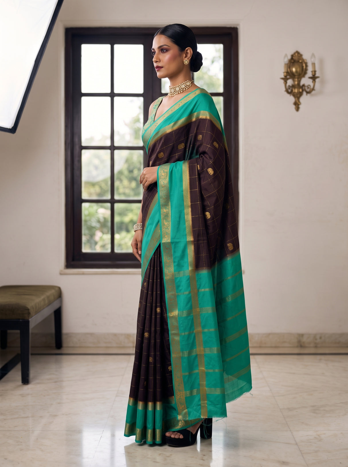 MIMOSA Chocolate Saree Saree — pose 3 styling detail