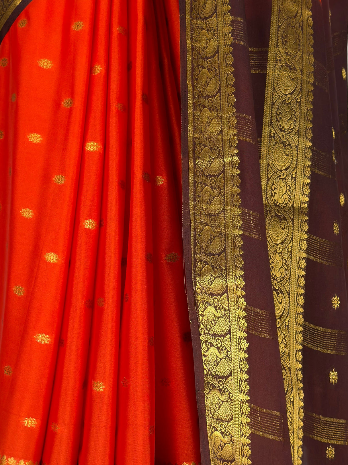 MIMOSA Orange Saree Saree — fleets shot full lifestyle