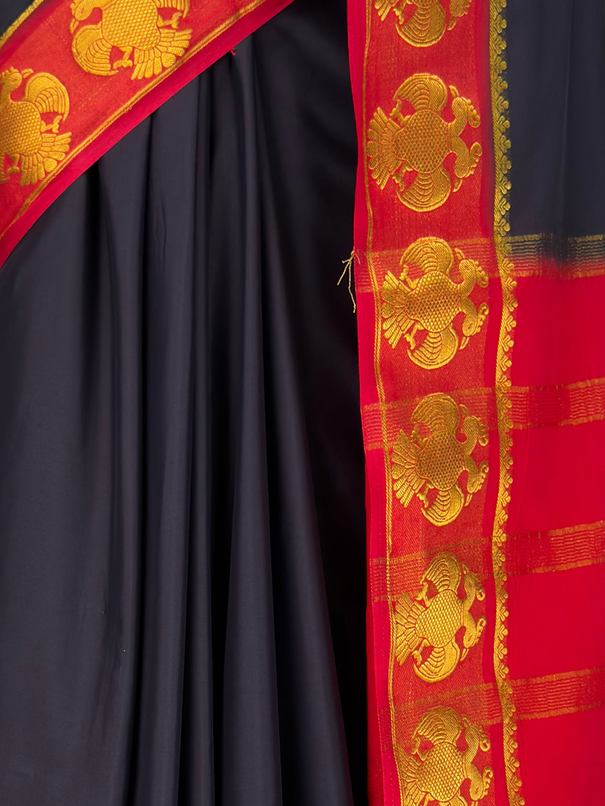 MIMOSA Black Saree Saree — fleets shot full lifestyle