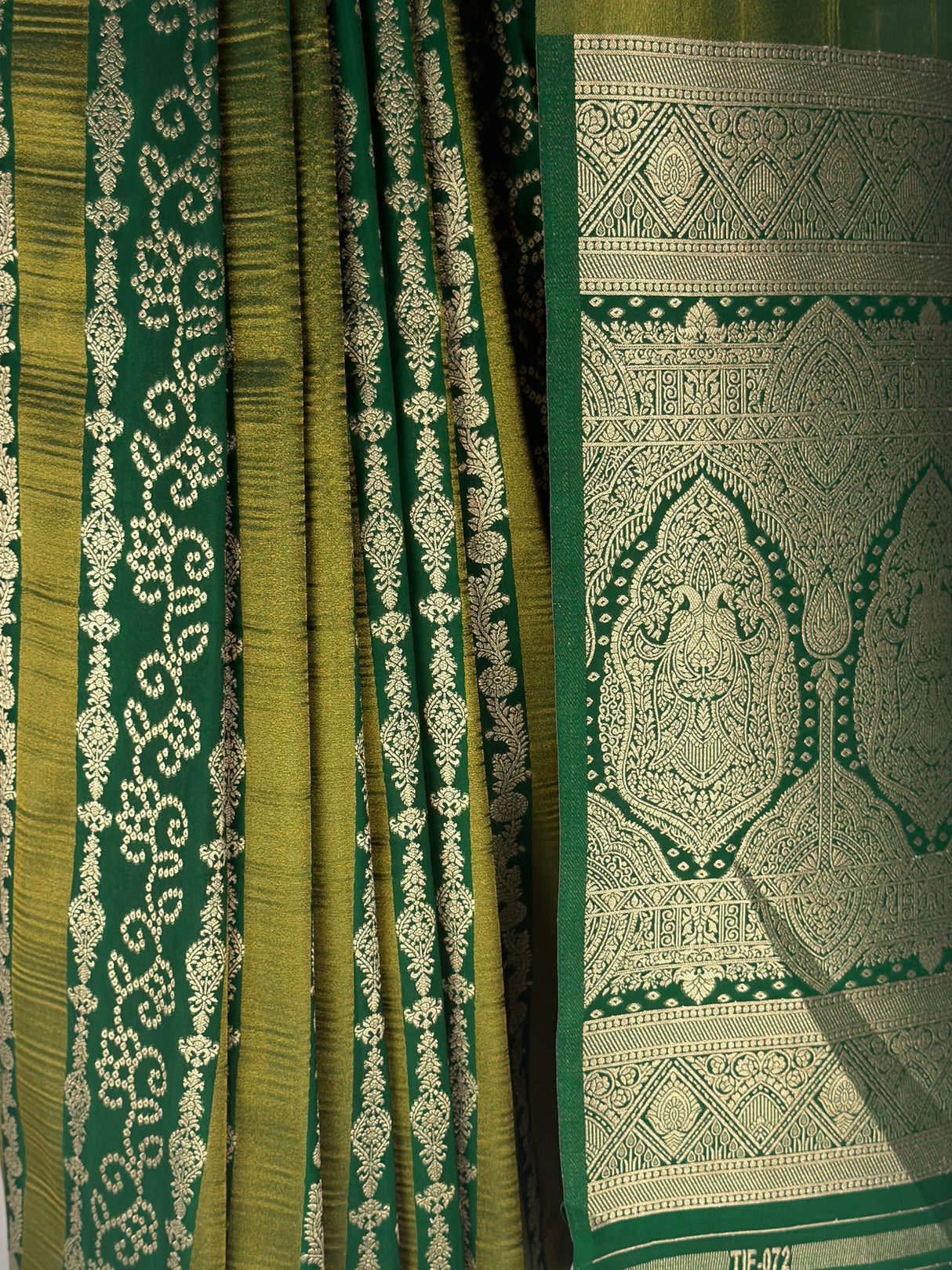 MIMOSA Green Saree Saree — fleets shot full lifestyle