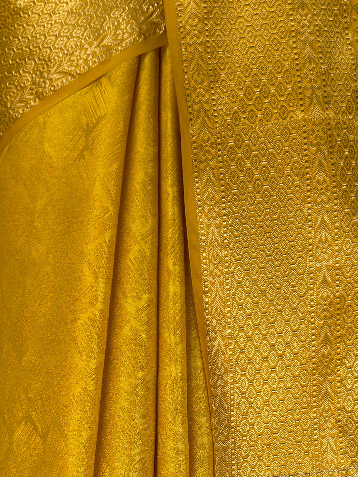 MIMOSA Gold Saree Saree — fleets shot full lifestyle