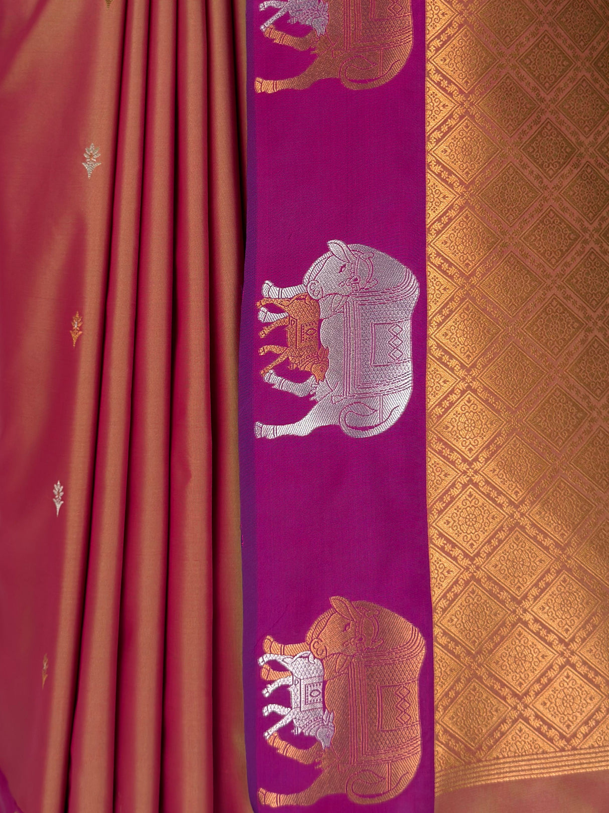 MIMOSA Rani Saree Saree — fleets shot full lifestyle