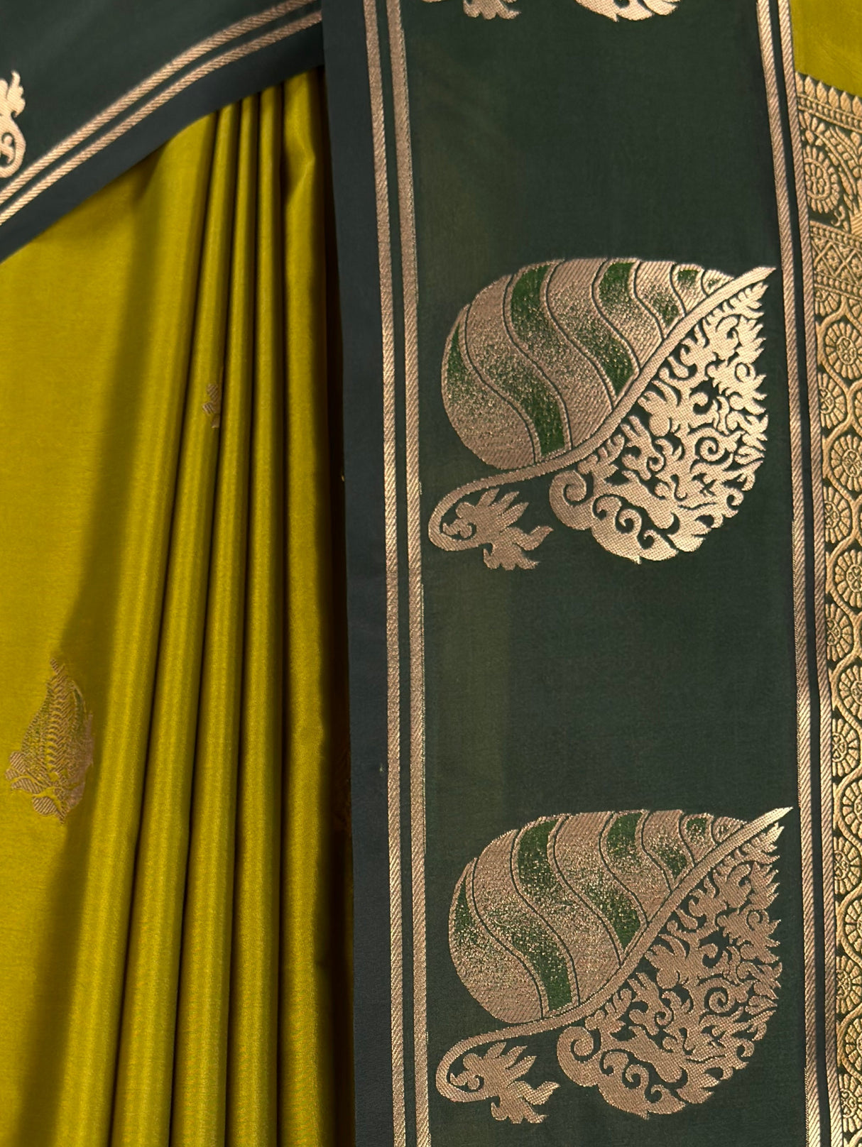 MIMOSA Pista Saree Saree — fleets shot full lifestyle