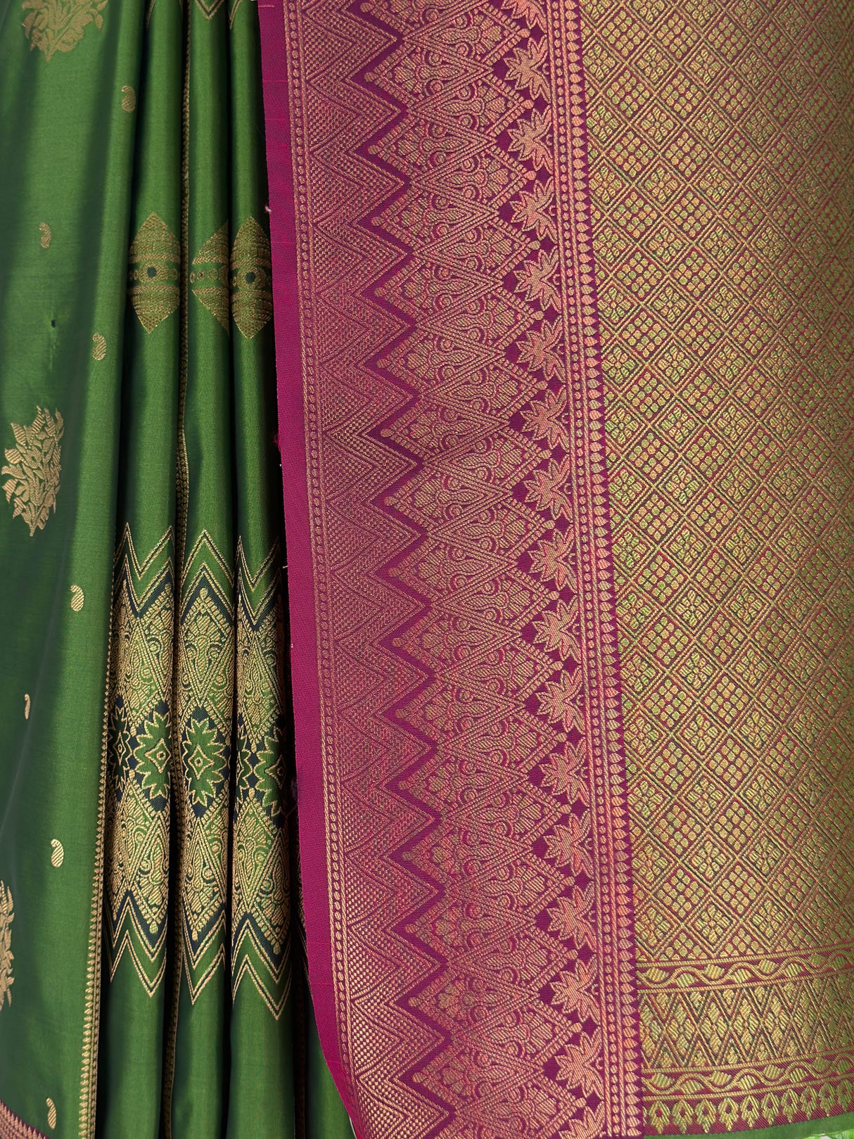 MIMOSA Green Saree Saree — fleets shot full lifestyle