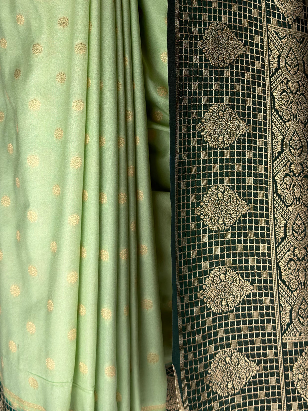 MIMOSA Pista Saree Saree — fleets shot full lifestyle