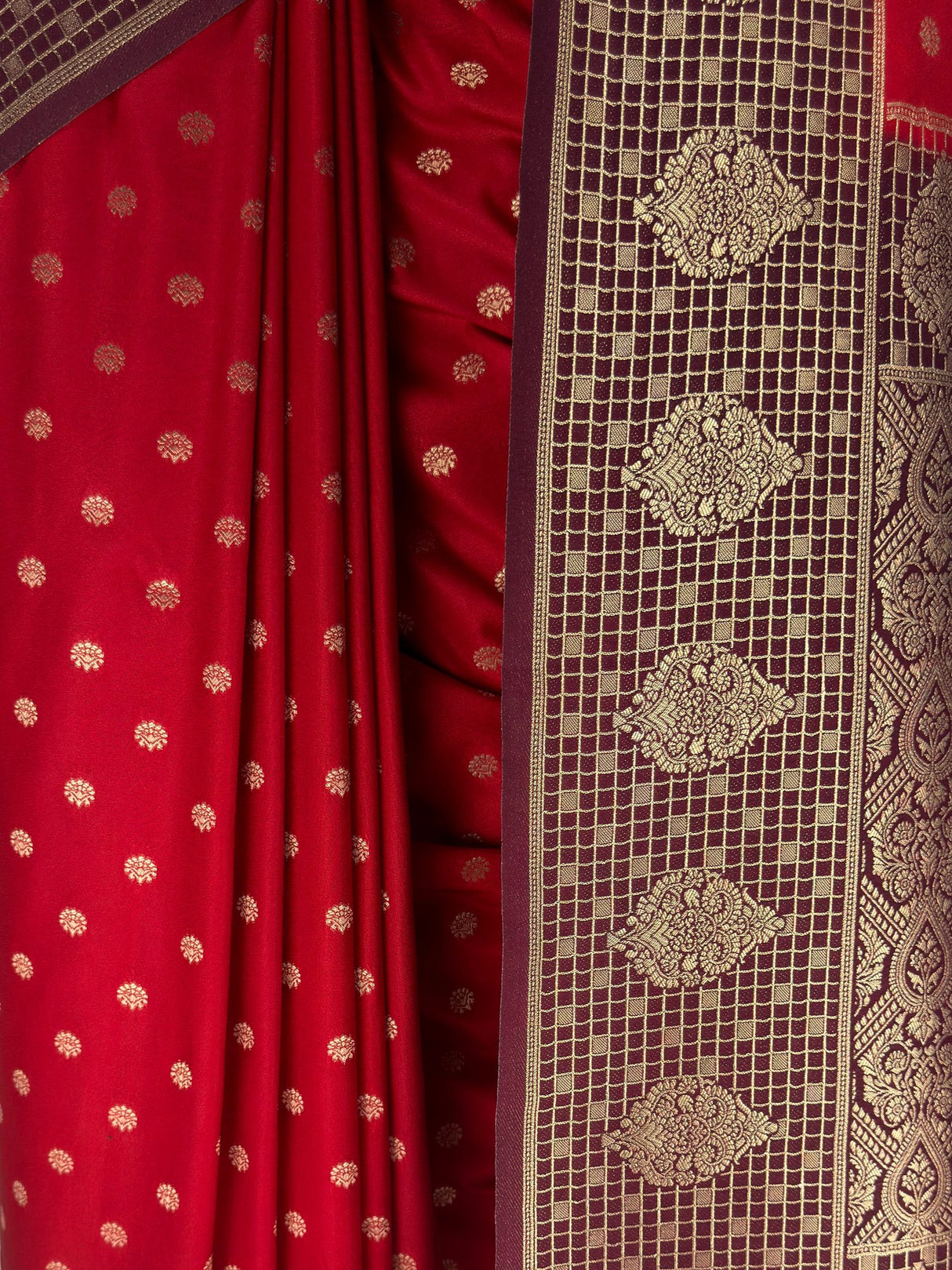 MIMOSA Red Saree Saree — fleets shot full lifestyle