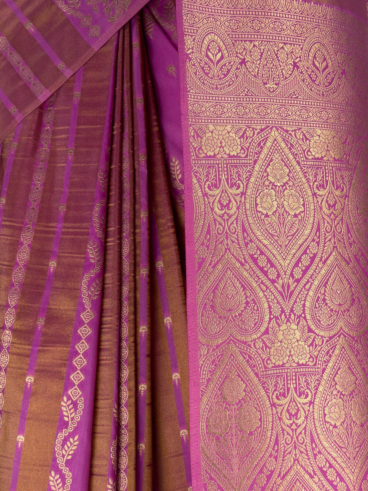 MIMOSA Pink Saree Saree — fleets shot full lifestyle