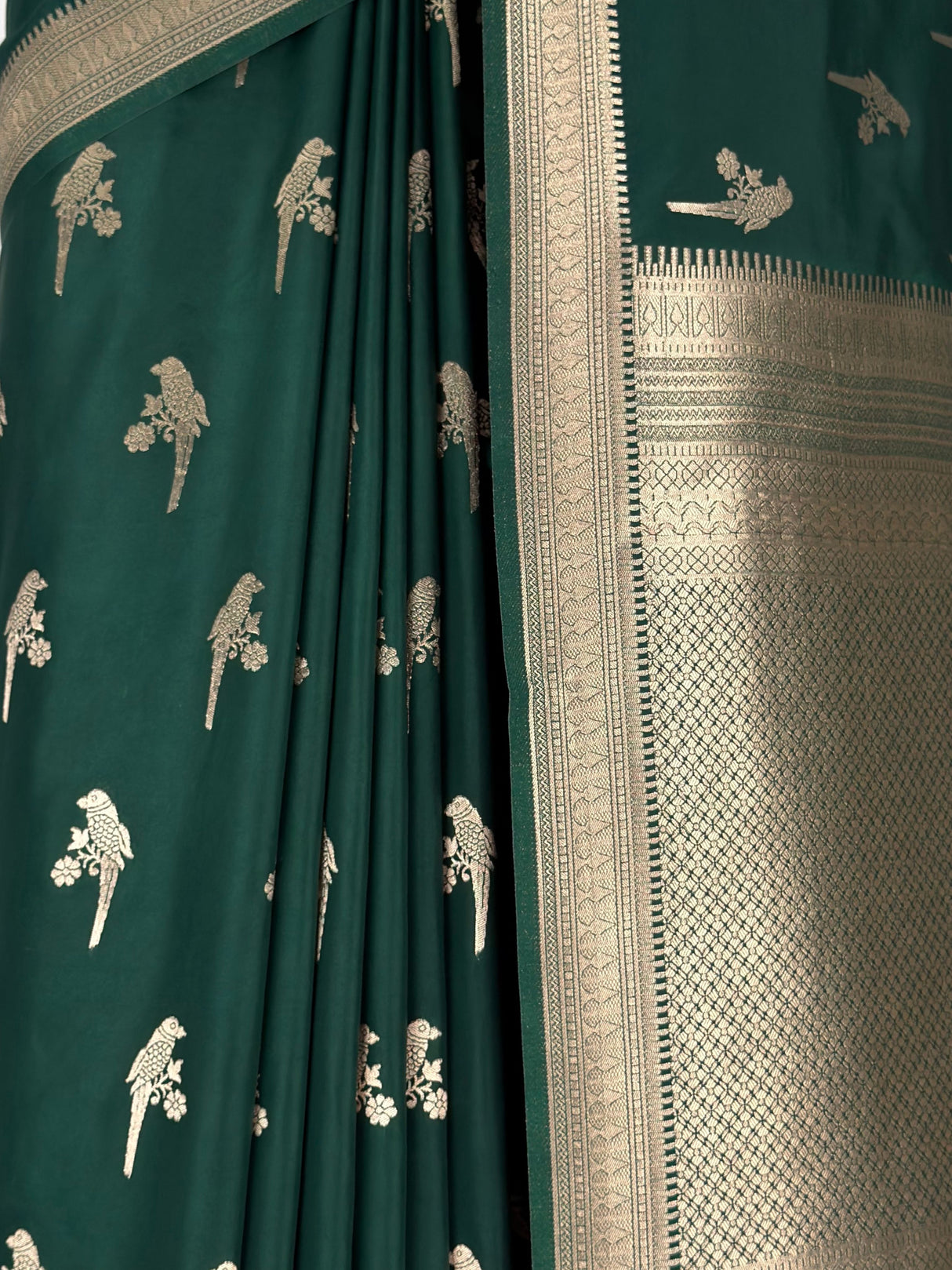 MIMOSA Bottle Green Saree Saree — fleets shot full lifestyle
