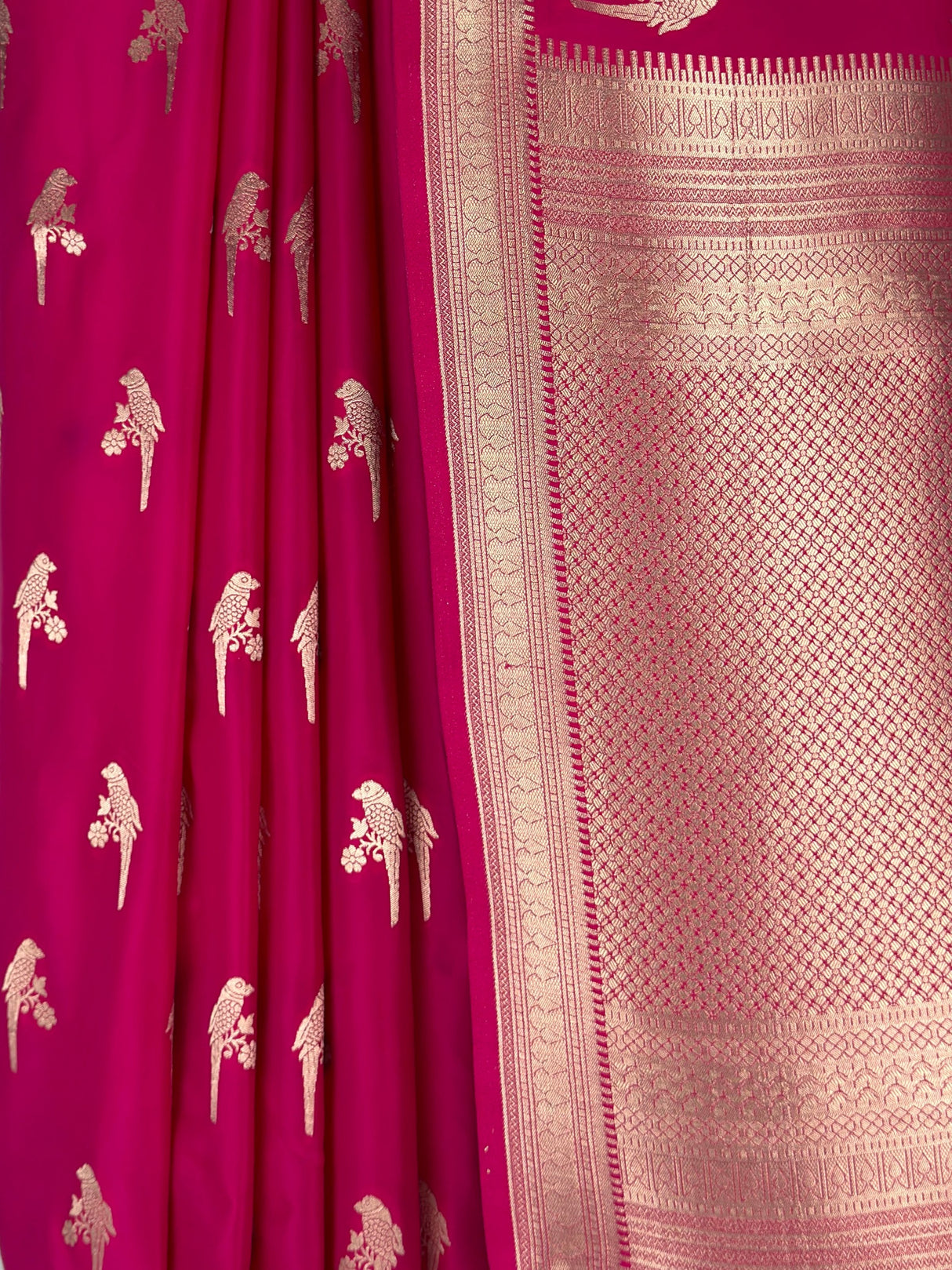 MIMOSA Rani Saree Saree — fleets shot full lifestyle