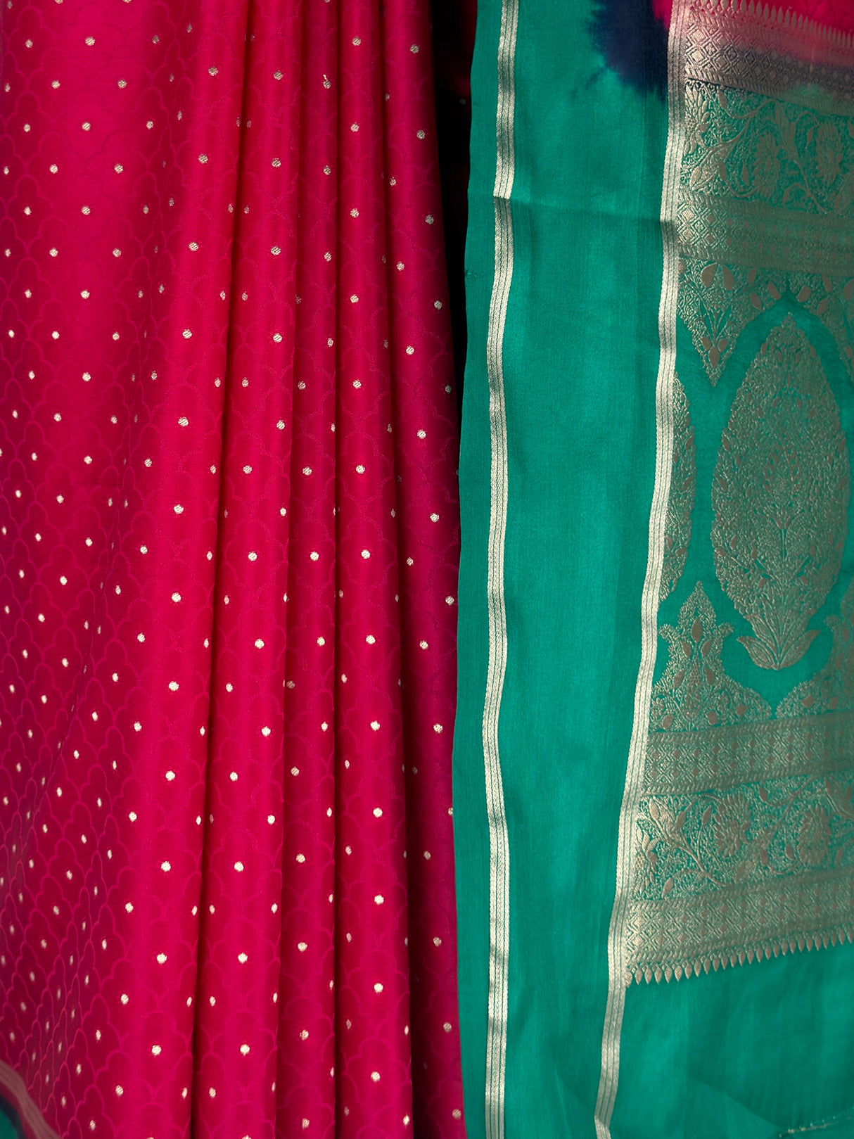 MIMOSA Rani Saree Saree — fleets shot full lifestyle
