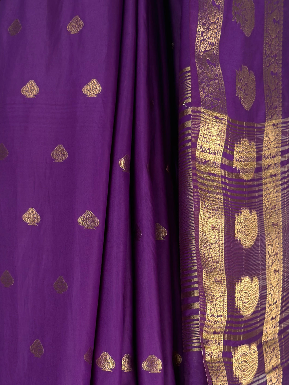 MIMOSA Jamun Saree Saree — fleets shot full lifestyle