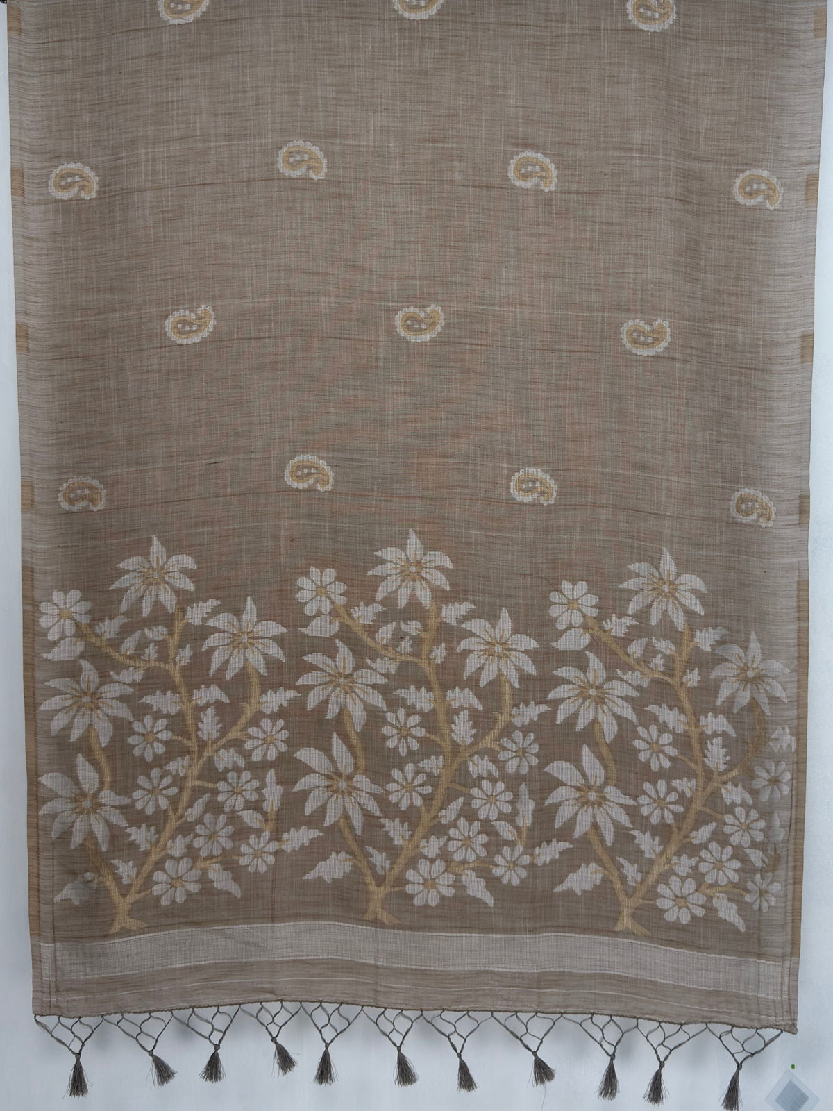 MIMOSA Chiku Banarasi Saree — pallu and zari work detail
